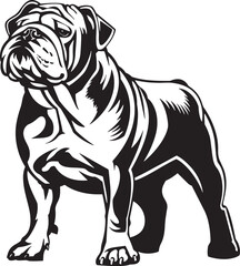 english bulldog portrait, Bulldog standing silhouette vector illustration line art and white background