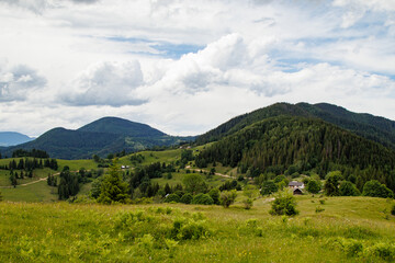 Obraz premium fields and meadows of Ukraine 