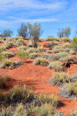 A view of the colors of the desert in the afternoon sunlight.
