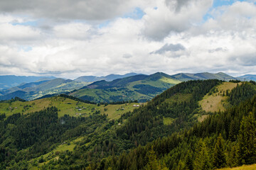 fields and meadows of Ukraine	