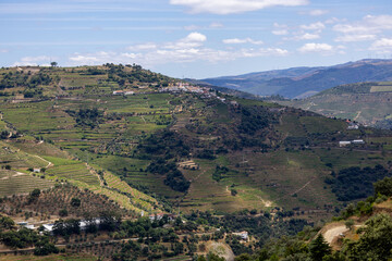 Obraz premium View of the terraced vineyards in the Douro Valley and river near the village of Pinhao, Portugal. Concept for travel in Portugal and most beautiful places in Portugal