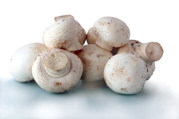 tasty white edible mushrooms as condiment or meal close up