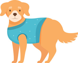 Cute golden retriever dog is standing and wearing a blue shirt