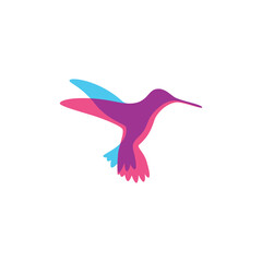 Colorful flying Hummingbird. Vector illustration with two colors