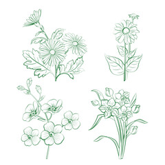 Vector Herbal green ingredients hand-drawn outline with white Background