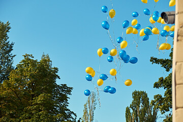 A bunch of blue and yellow balloons floating up into a clear sky, surrounded by green trees,...
