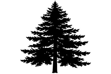 Pine tree silhouettes. Evergreen forest firs and spruces black shapes, wild nature trees templates. Vector illustration woodland trees set on white background