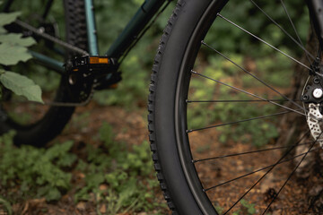 Close-up photo of a bicycle wheel in the forest