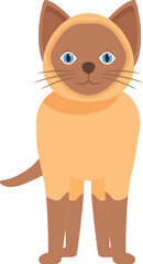 Adorable siamese cat with blue eyes standing, a perfect design for pet lovers