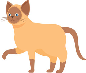 Cute siamese cat illustration, walking with its paw raised