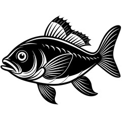 Fototapeta premium black and white fish