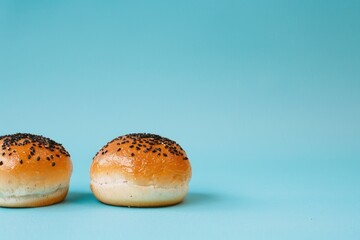 fluffy burger bun with black sesame seeds. bread. food. place for text.