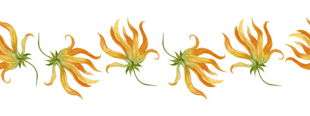 Watercolor seamless border with ylang-ylang. Illustration of yellow flowers. Invitation and packaging design