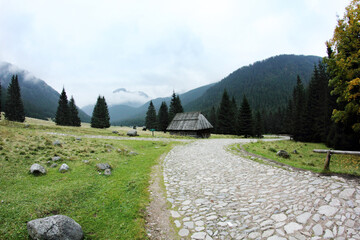 Szlak w Polskich Tatrach © ukasz