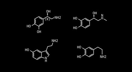 Catecholamines vector formula illustration isolated