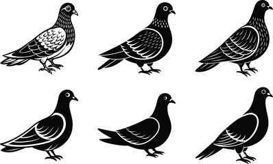 Pigeon vector Set silhouette illustration