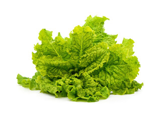 Fototapeta premium Bunch of green lettuce leaves.