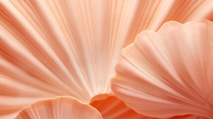 A pile of pink and white seashells in various shapes and sizes.