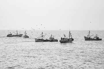 Black and white image of small fishing boats fishing off the coast of Mar del Plata	