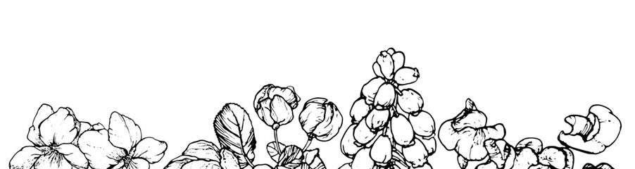 Spring flowers drawing with line-art on white background