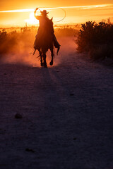 Female ranch hand, or cowgirl, riding horse in the sunset on a ranch in Arizona, USA. Swinging a...