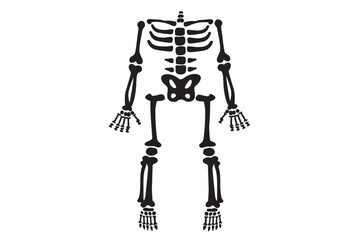 Naklejka premium Halloween skeleton and headSkeleton parts Svg, Skeleton Png, Skeleton Cut File, Skeleton Bones Svg, Skeleton parts Png, Skeleton parts kit SVGSkeleton SVG, Skeleton parts Svg, Skeleton Png, Skeles...