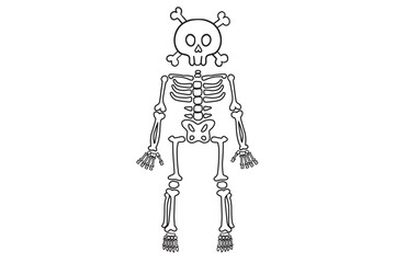 Halloween skeleton and  headSkeleton parts Svg, Skeleton Png, Skeleton Cut File, Skeleton Bones Svg, Skeleton parts Png, Skeleton parts kit SVGSkeleton SVG, Skeleton parts Svg, Skeleton Png, Skeles...