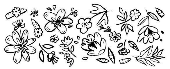 Vector set with spring flowers hand drawn . Black brush flower silhouettes. Ink drawing wild plants, herbs or flowers, monochrome botanical illustration. Anemones, peonies, chrysanthemums 