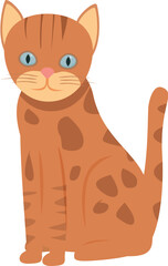 Adorable orange tabby cat with blue eyes sitting and looking forward