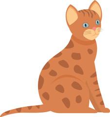 Bengal cat is sitting in side view and looking right