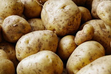 無農薬でで育てたジャガイモ