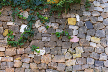 Stone wall with ivy. Europe, Greece, Crete, Chania, Old Town.