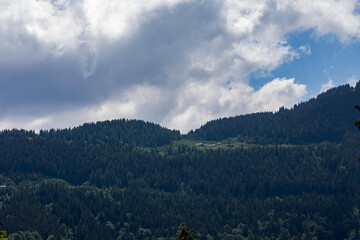 catena montuosa distante coperta da una vasta foresta verde scuro, nell'ombra, sotto un cielo coperto da grandi nuvole bianche e grigie, di pomeriggio, in estate