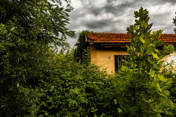 parte di vecchio e basso edificio abbandonato quasi completamente sommerso dalla vegetazione, visto di giorno, in estate, sotto un cielo grigio e nuvoloso