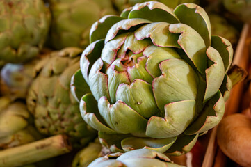 Fresh ripe green organic artichokes heads on local farmers market in Dordogne, France