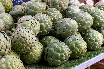 Fototapeta premium Fresh ripe green organic artichokes heads on local farmers market in Dordogne, France