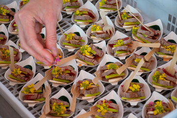Degustation appetisers for visitors made by great chefs of haute cuisine French restaurants, wine festival in Tours, Loire valley, France