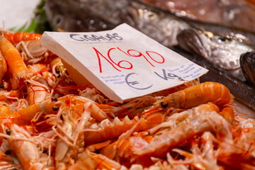 Assortment of fresh daily catch of prawns, seashells, molluscs on ice on fish market in Brittany, France, English translation: differens French names of seafood