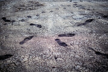 Footprints in the sand with dried sea foam