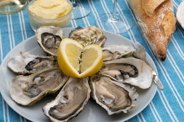 Plate with fresh live oysters with citron, bread, butter and white wine served at restaurant in...
