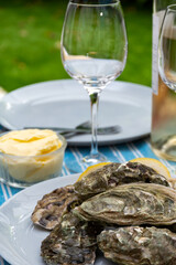Plate with fresh live oysters with citron, bread, butter and white wine served at restaurant in oyster-farming village, Arcachon bay, Gujan-Mestras port, France