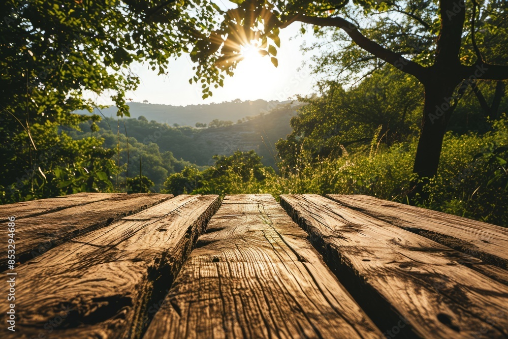 Poster the picture of the wood table in the middle of the forest that surrounded with an uncountable amount