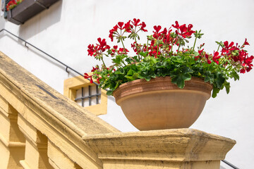 Blumentopf mit roten Geranien auf einen Pfeiler