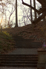 Curved stairs illuminated by sunlight in the middle of the day