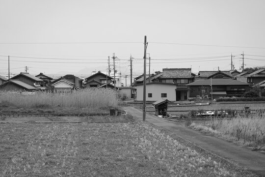 田んぼとあぜ道　日本の原風景