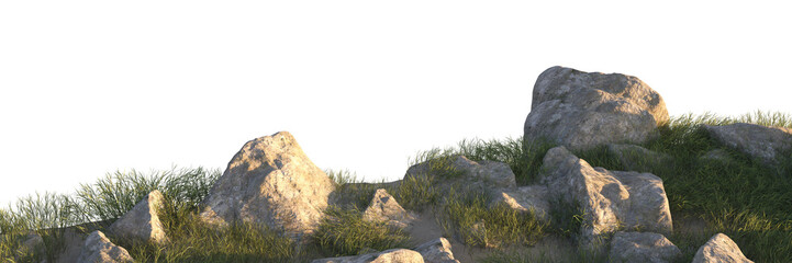 grass field small plant and stones, rocks in grassy field
