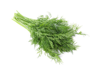 Fresh green dill branches isolated on white