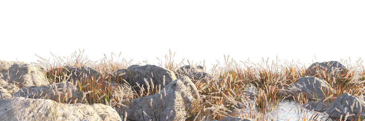 tall grass in the wind with stone