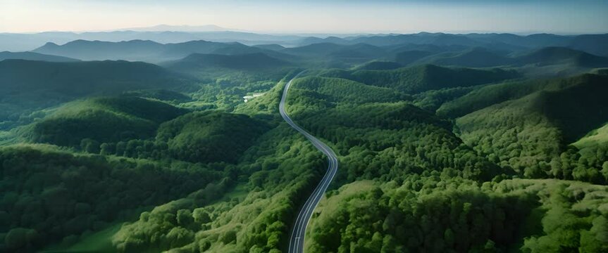 Aerial perspective of a dense green forest intersected by a clean, sustainable roadway, reflecting green economy principles