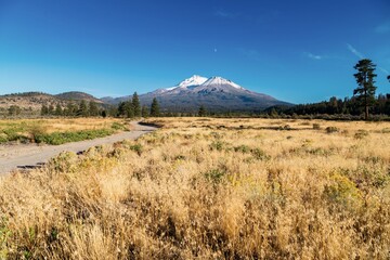Dirt road, grassland and forest and the volcanon of Mt Shasta, California, United States of America.